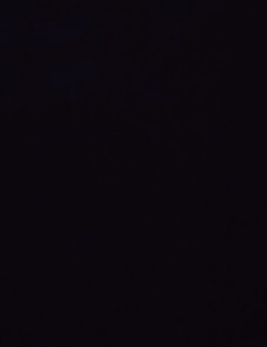 黒色振袖レンタルの小柄な方へＳサイズです。おしゃれな白色のクロコ柄帯です。