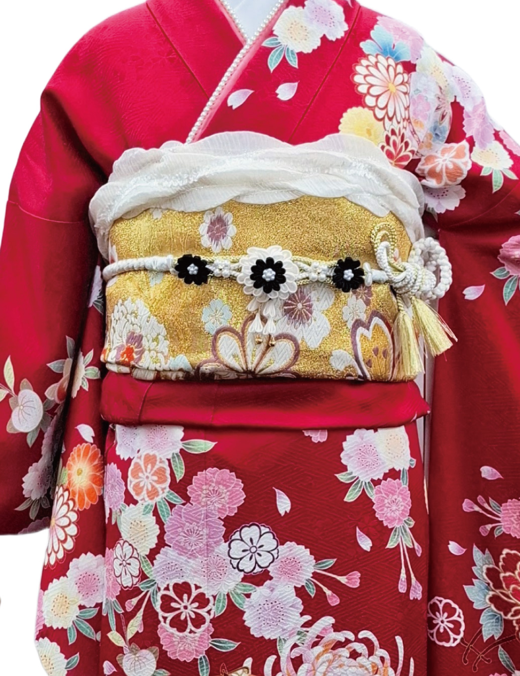 赤振袖レンタルＳサイズです。赤色、和風桜柄の古典柄、姫路市振袖レンタルはやのや