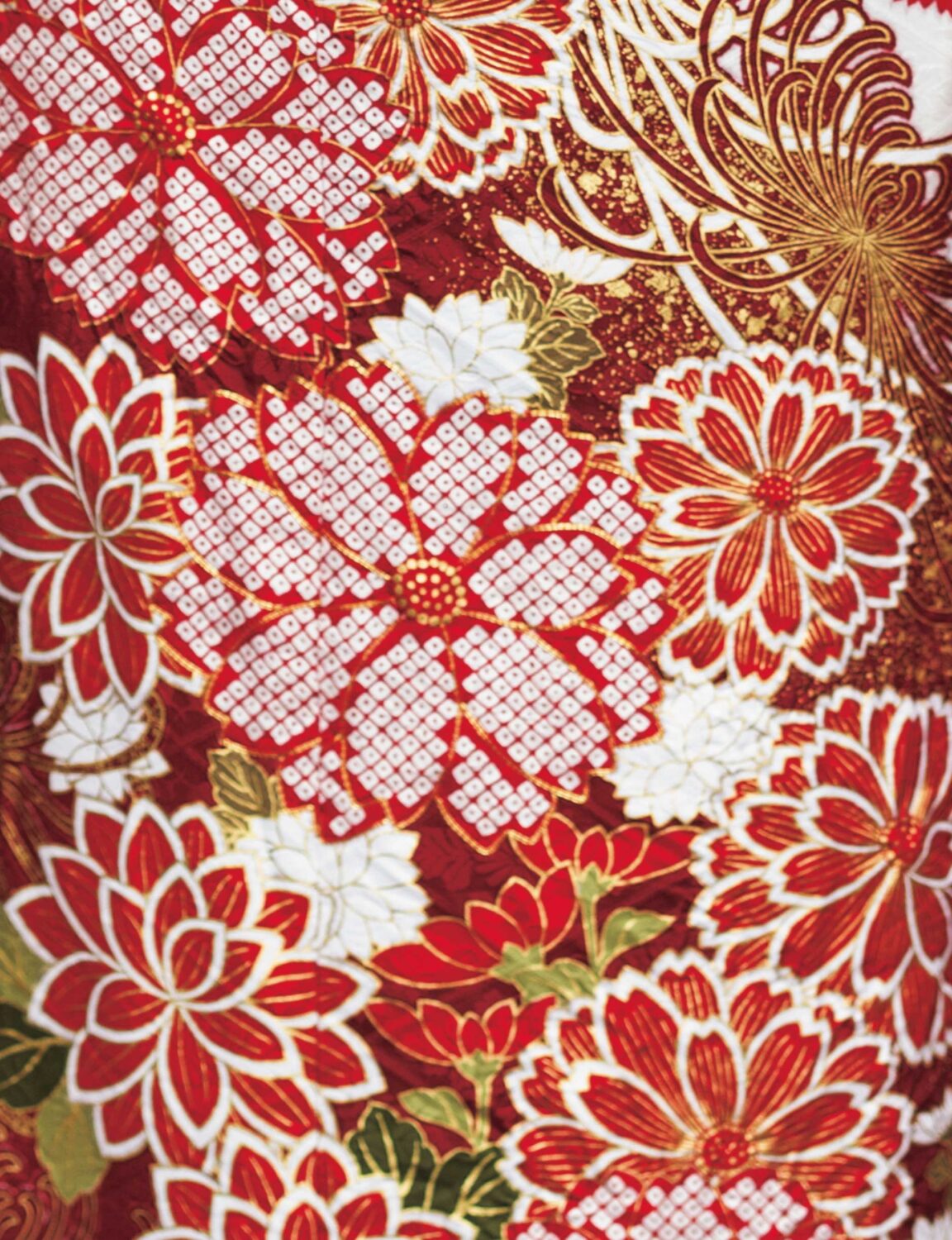 黒地に赤と金の菊模様が施された振袖姿の女性。金の帯締がアクセント。