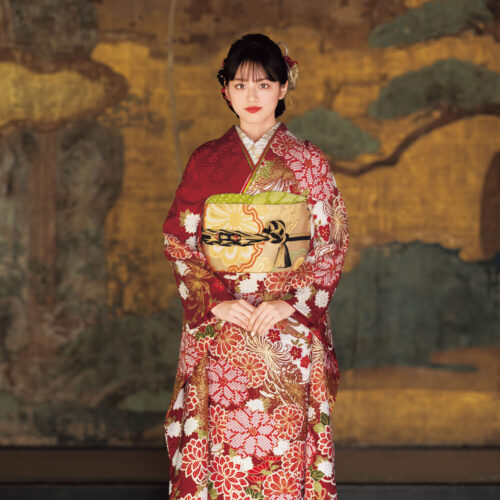 黒地に赤と金の菊模様が施された振袖姿の女性。金の帯締がアクセント。