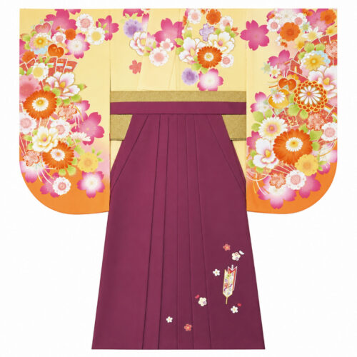 桜と菊の花柄が映えるクリーム地の着物と深紅の袴姿