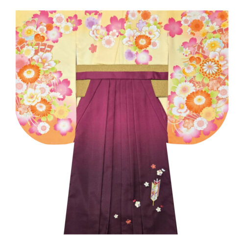 桜と菊の花柄が映えるクリーム地の着物と深紅の袴姿