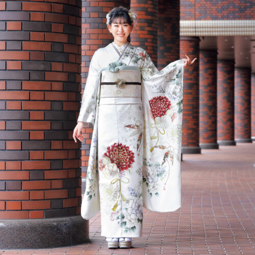 現代風の白振袖菊に牡丹