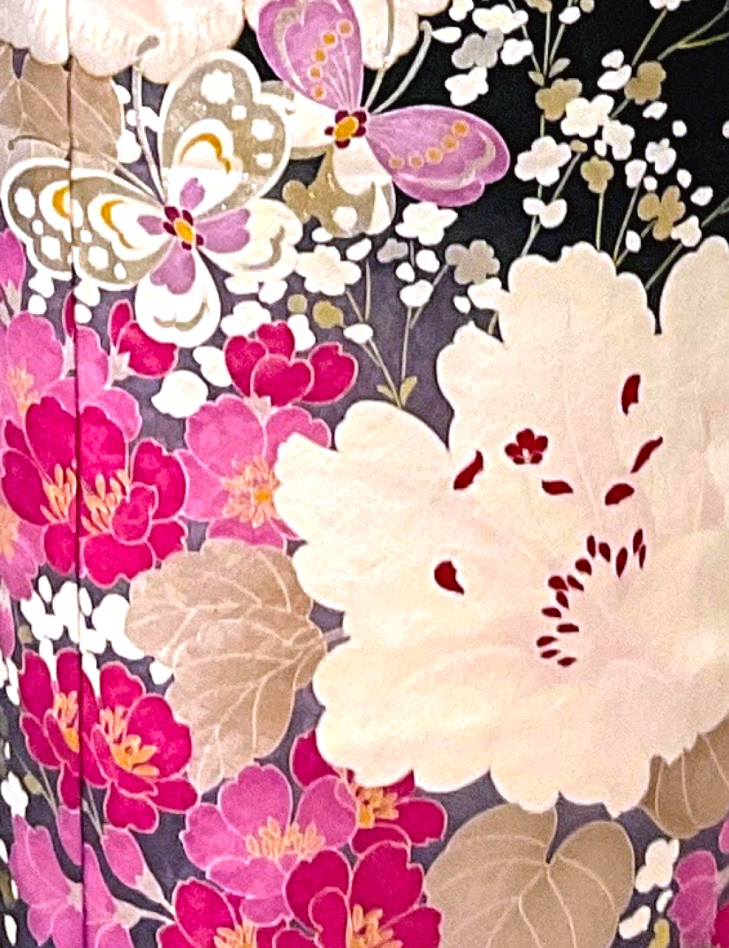 桜や蝶の柄の黒色の振袖レンタルです。