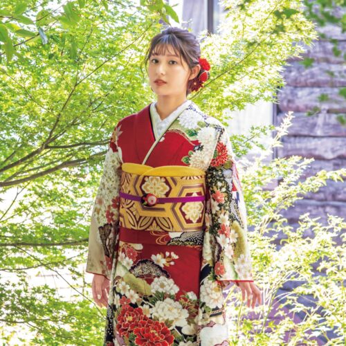 王道の赤を豪華絢爛に埋めつくす、縁起のよいモチーフ。見頃を迎えた牡丹や松竹梅は最高に輝き、青海波や雲取りと共に初々しい門出を彩ります。